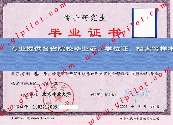 2005年北京林业大学毕业证样本图片