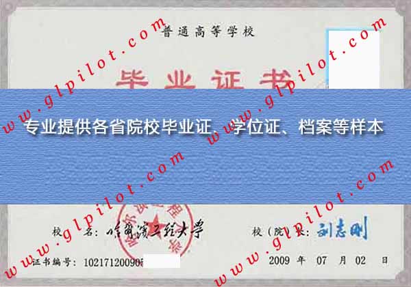 2009年哈尔滨工程大学本科毕业证样本图片