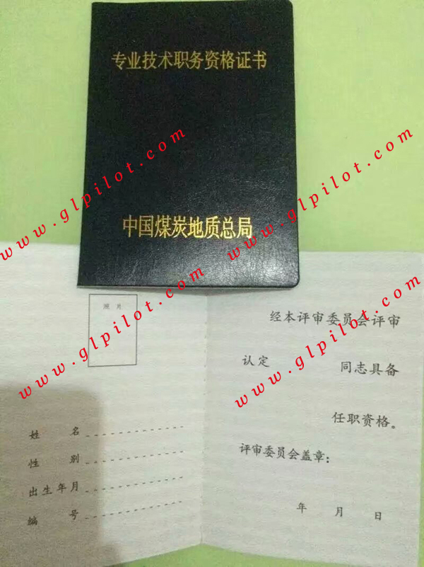 中国煤炭地质总局专业技术职务资格证书样本图片
