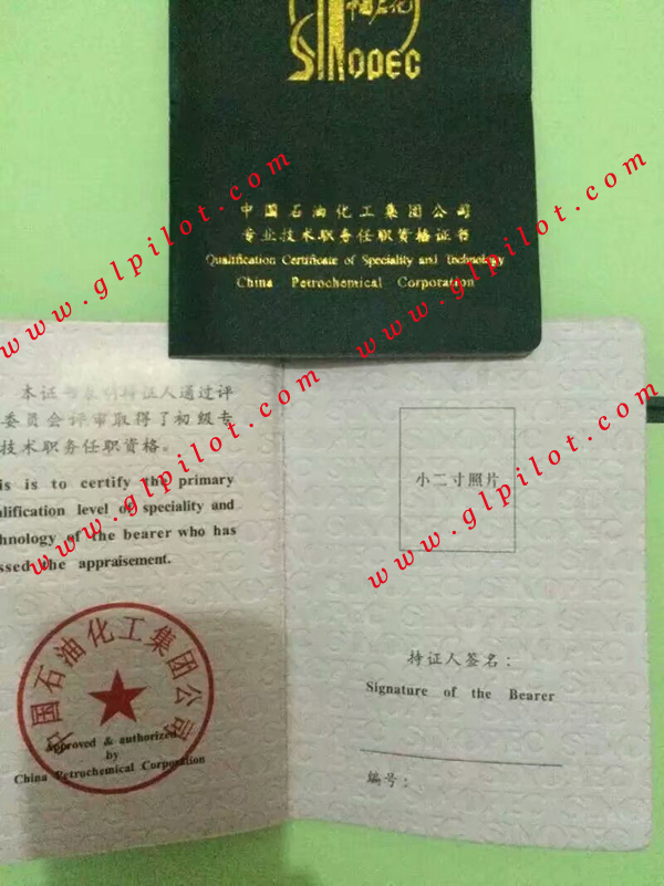 中国石油化工集团专业技术职务任职资格证书样本_模板_图片