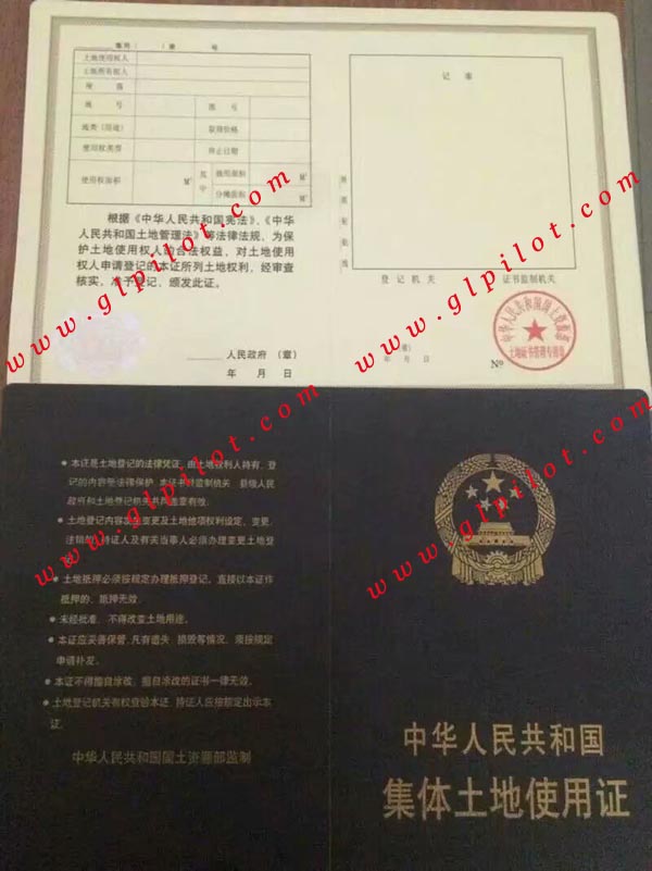 中华人民共和国集体土地使用证样本_模板_图片