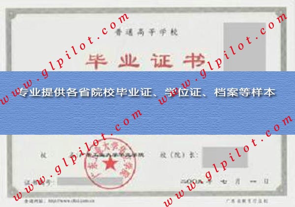 2008年广东新华教育学院毕业证样本_模板_图片