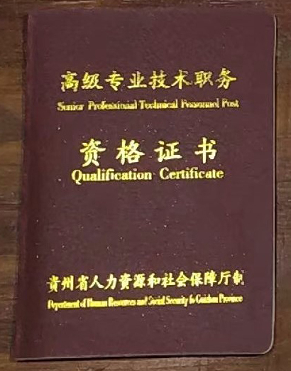 贵州高级专业技术职务资格证书