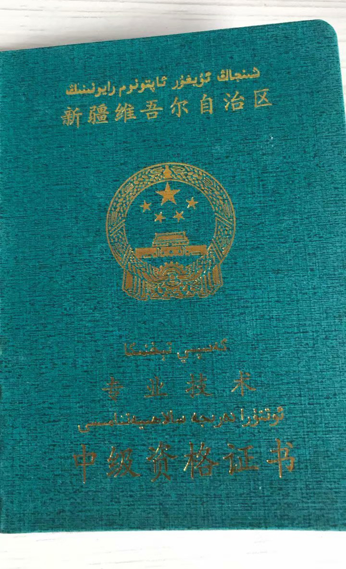 新疆维吾尔自治区专业技术中级资格证书样本图片