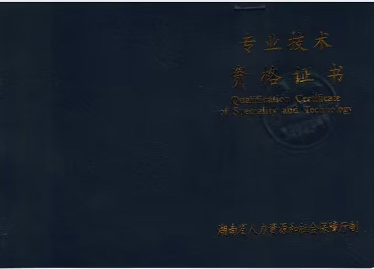 湖南省专业技术初（中，高）级职称资格证书样本图展示