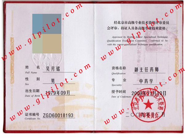 北京市高级专业技术资格证样本_模板_图片