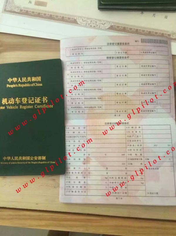 中华人民共和国机动车登记证书样本_模板_图片