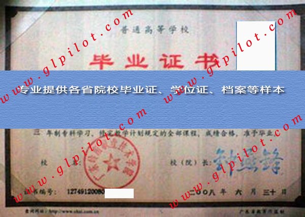 2008年广东岭南职业技术学院毕业证样本_模板_图片