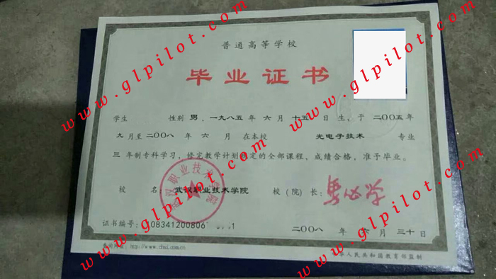 2008年武汉职业技术学院专科毕业证样本_模板_图片