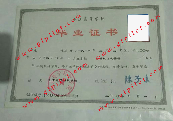 2010北京电子科技学院专科毕业证样本_模板_图片