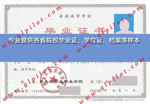 2009年黑龙江商业职业学院毕业证样本_模板_图片