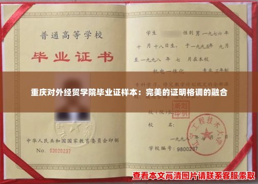 重庆对外经贸学院毕业证样本：完美的证明格调的融合