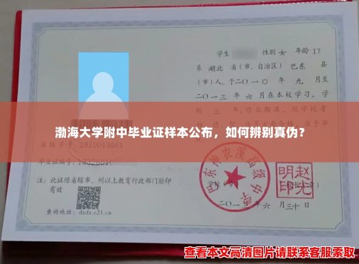 渤海大学附中毕业证样本公布，如何辨别真伪？