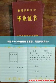 农四师一中毕业证样本展示，如何识别真伪？