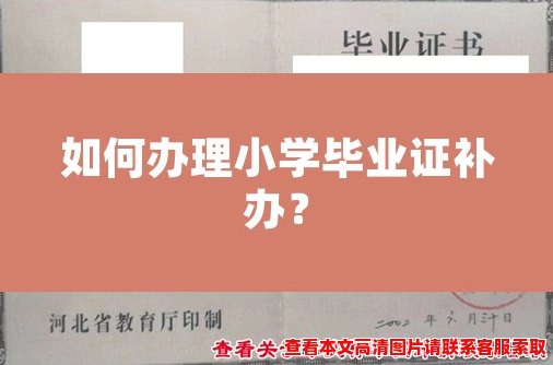 如何办理小学毕业证补办？