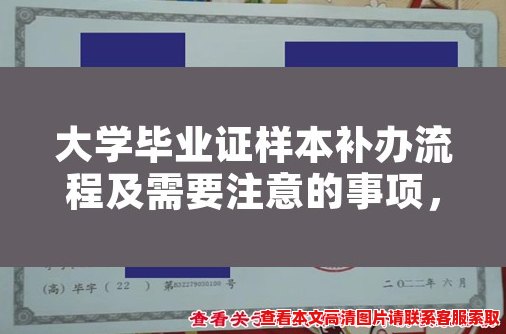 大学毕业证样本补办流程及需要注意的事项，详细解析